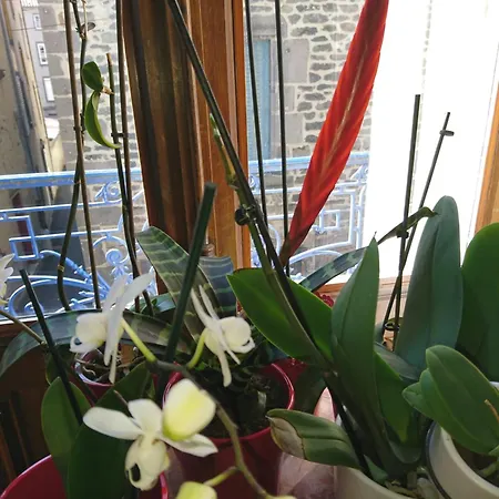 Bed & Breakfast La Maison D'adelaide D'hotes Saint-Flour (Cantal)